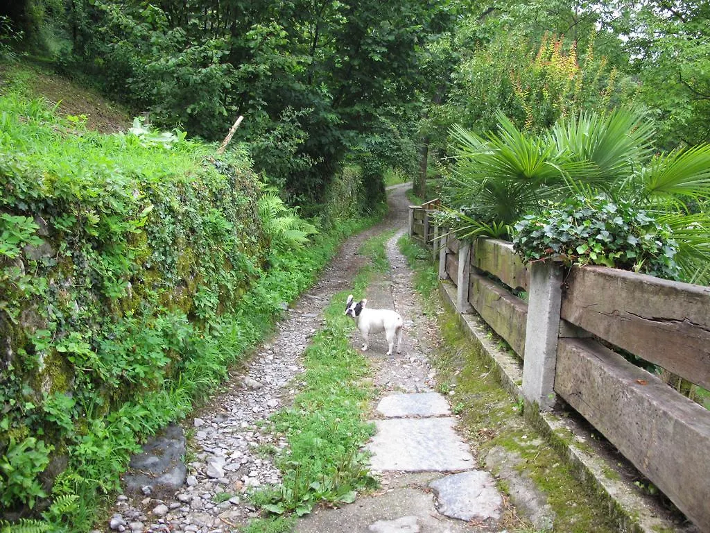 Agriturismo Madonna Dei Ceppi Lezzeno Farm stay