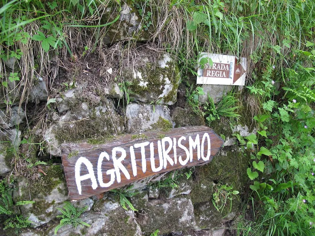 Agriturismo Madonna Dei Ceppi Lezzeno 0*,  Italy