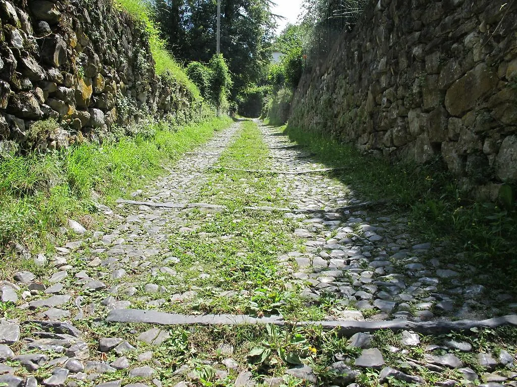 Agriturismo Madonna Dei Ceppi Lezzeno